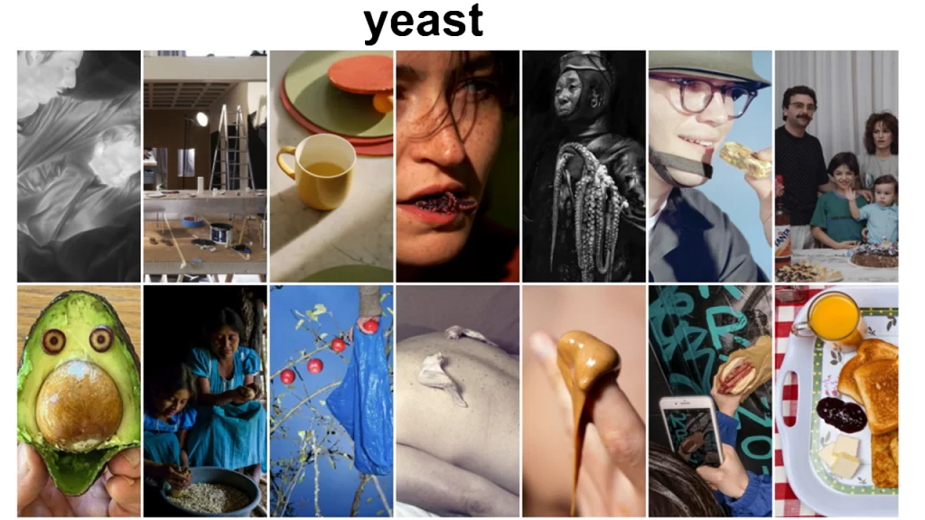 yeast-photo-festival-2023