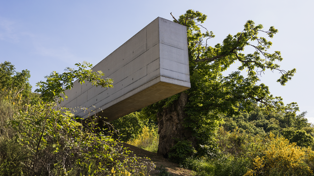 alejandro-aravena-self-regulation-2025