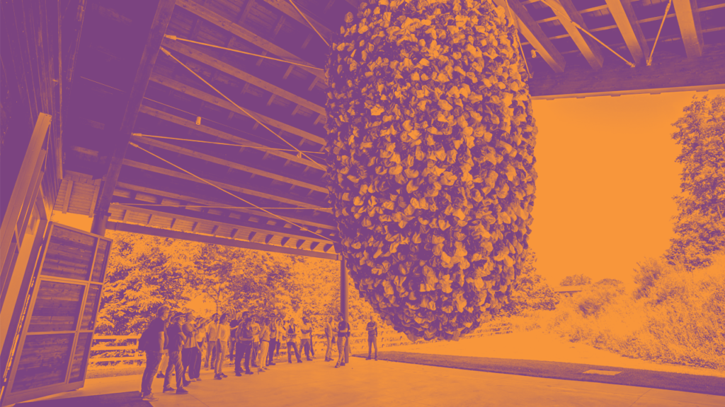 oca-oasy-contemporary-art-and-architecture