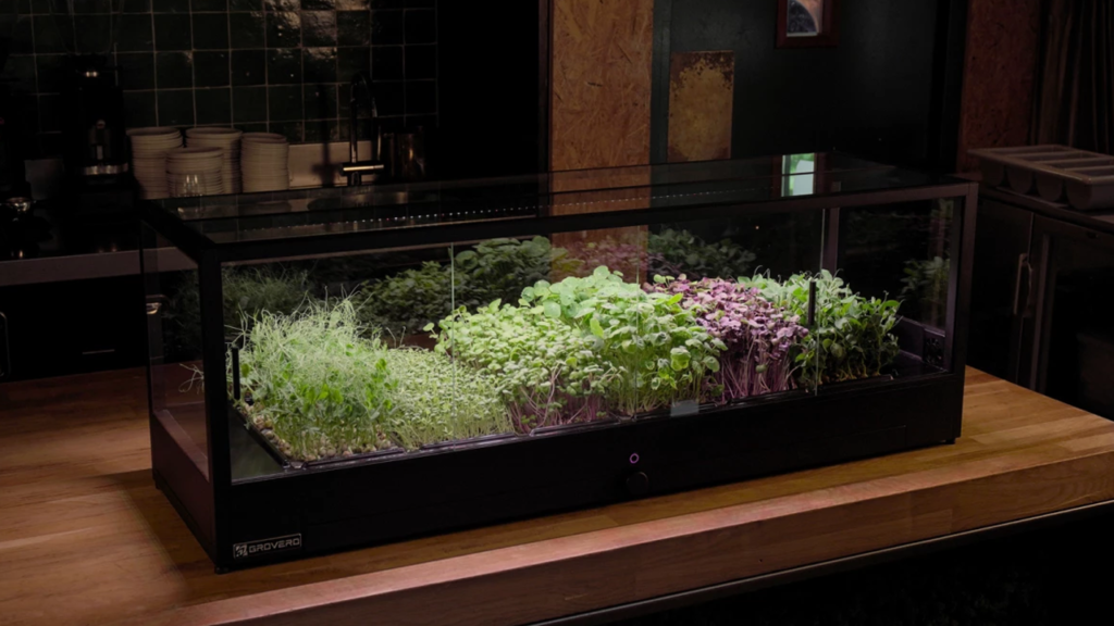 grovero-agricoltura-urbana